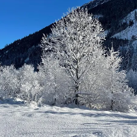 Apartment Bergappartement Talblick